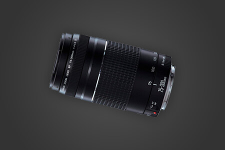 5 Best Lenses for Canon 60D in {{%year}}