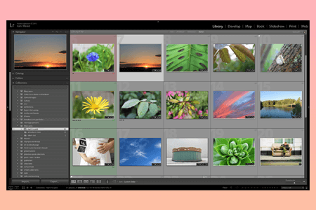 7 Best Photo Catalog Software: Manage Your Catalog Easily