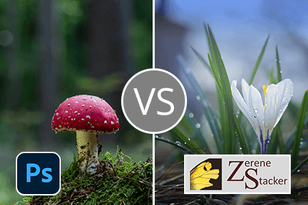 Zerene Stacker vs Photoshop: Which Is NOT Worth Your Time?