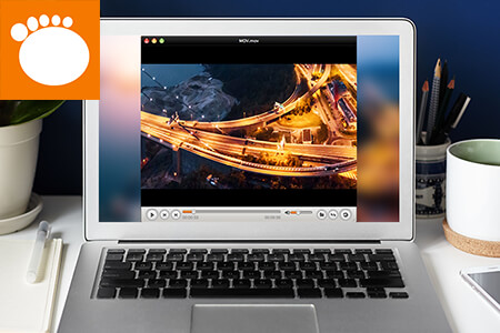 Download Gom Player For Mac