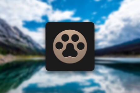 VidPaw App YouTube and Music Downloader for Android Review