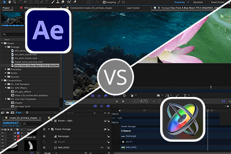 Motion vs After Effects: Which Is NOT for Your Budget?