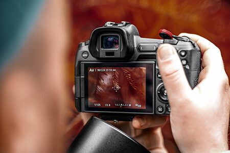 9 Best Cameras for Macro Photography in {{%year}}