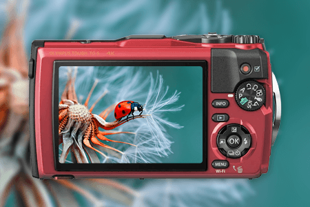 Makro Fotoğrafçılar için En İyi 12 Kamera: Satın Alma Rehberi