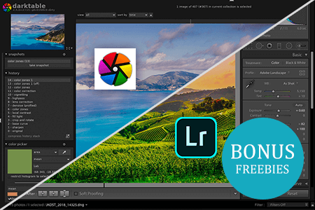 Darktable vs Lightroom: What Software Is Better?