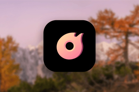 VidPaw BurnAnyDVD Review {{%year}}