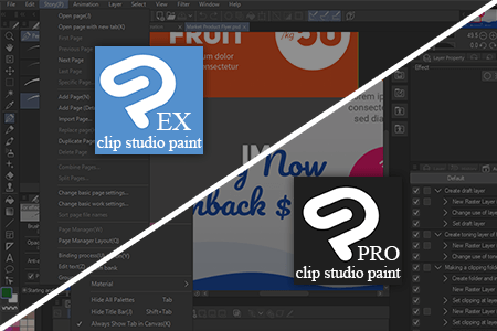 Clip Studio Paint EX vs Pro