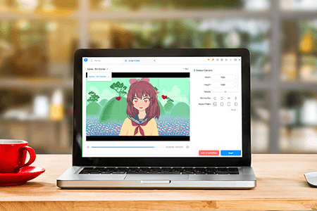 Any Video Converter Ultimate Key Free Download (v4.6.9)