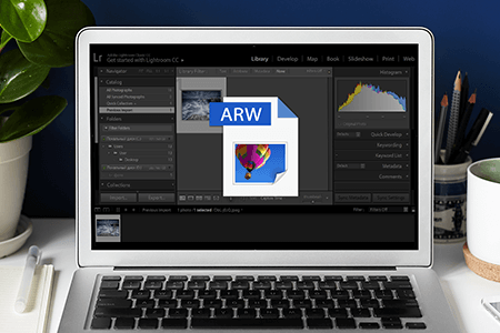 ARW File: How to Open and Convert