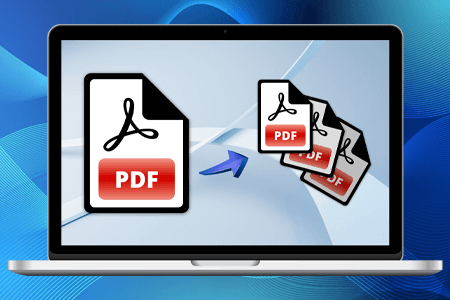 7 Best Software to Split PDF in {{%year}} [Fast & Simple]