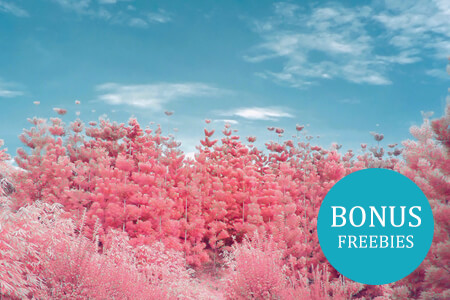 Infrared Photography Guide: 14 Tips & Ideas 