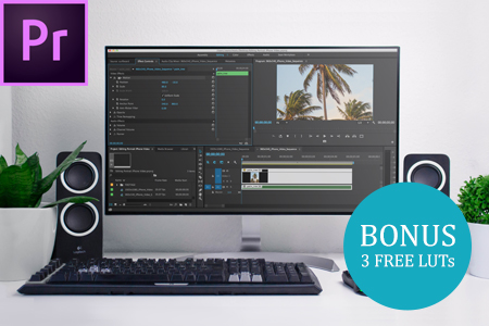 How to Install LUTs in Premiere