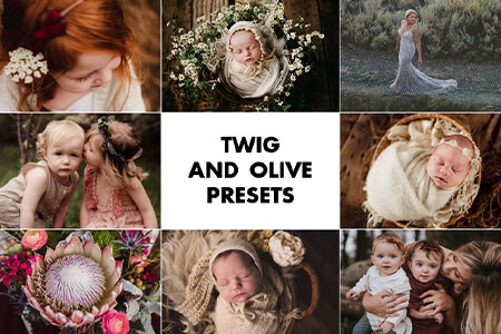 مراجعة بريست و الإعدادات المسبقة Twig and Olive لعام {{%year}}