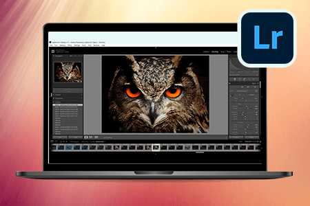 Lightroom Review {{%year}}: Functionality, Efficiency & Score