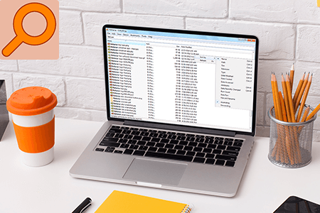 Search Everything Download