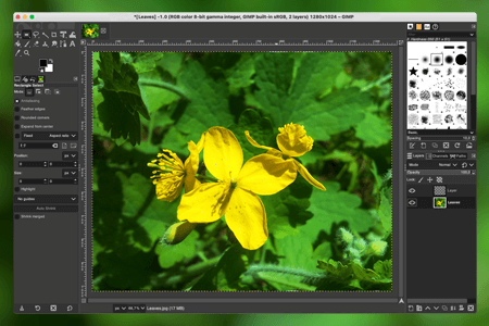 GIMP Download for Mac (Free {{%year}} Latest)