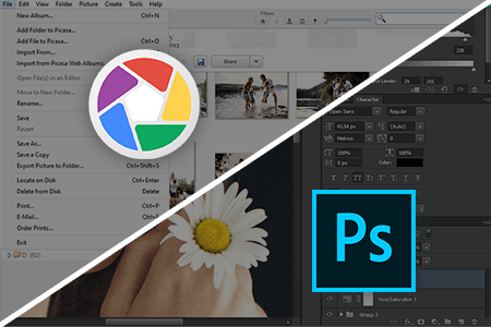 Picasa vs Photoshop