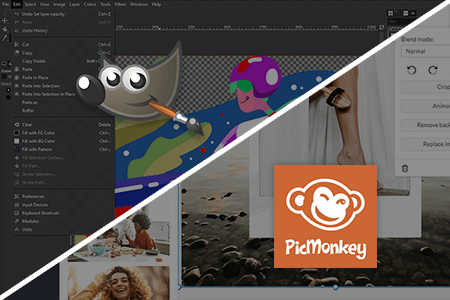 GIMP vs PicMonkey