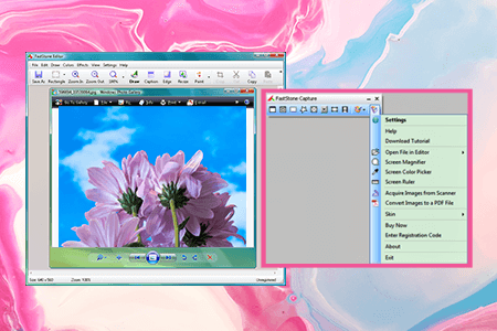 Faststone Screen Capture Download