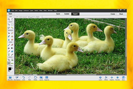 Adobe Photoshop Elements 12 Download