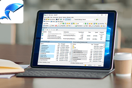 Winftp Client Download