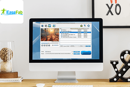 Easefab Video Converter Download