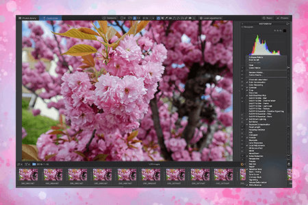 Dxo Photolab Download