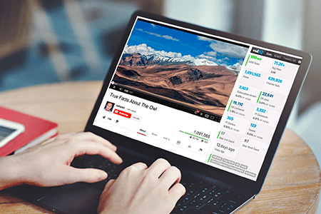 5 Best Youtube Video Ranking Software in {{%year}}