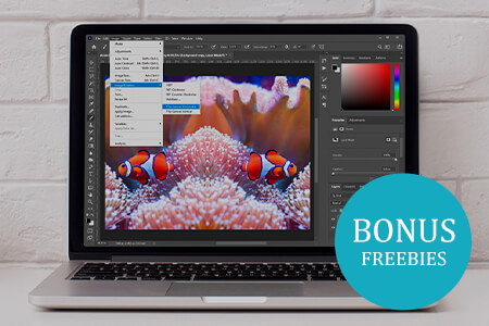 How to Flip a Layer in Photoshop: 4 Easy Ways