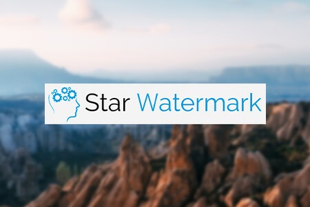 Star Watermark Software Review {{%year}}