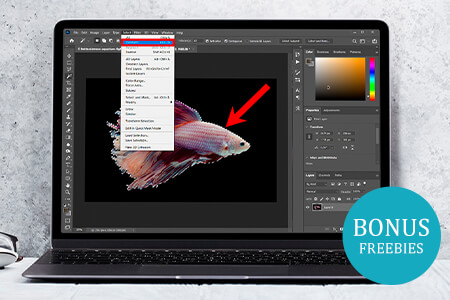 How To Deselect In Photoshop: 3 Simple Ways