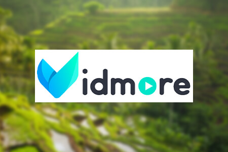 Vidmore Software Review {{%year}}