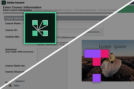Adobe Connect vs  Top Hat