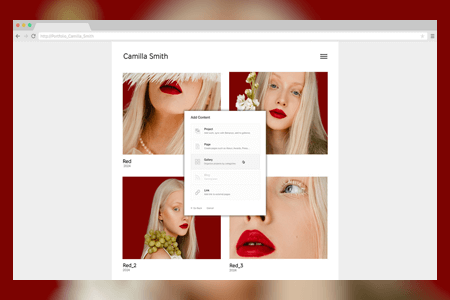 Adobe Portfolio Free Download ({{%year}} Latest Version)