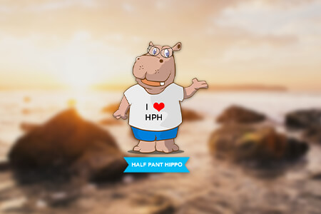 Half Pant Hippo Graphic Design And Technical Service Review