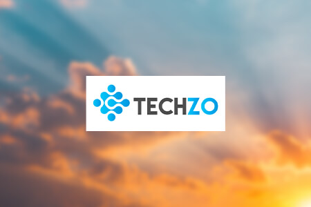Techzo Website Design Company Review {{%year}}