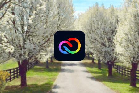 Reseña de Adobe Express (Adobe Spark) {{%year}}: Ventajas y Desventajas