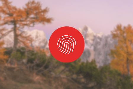 Richee Media Social Media Marketing Agency Review {{%year}}