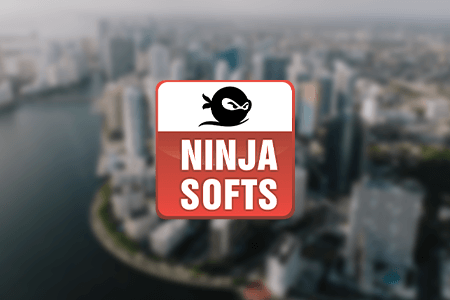 Ninja Softs Website And Software Development Company Review