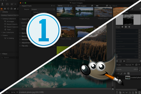 مقارنة  بين Capture One Pro مقابل GIMP
