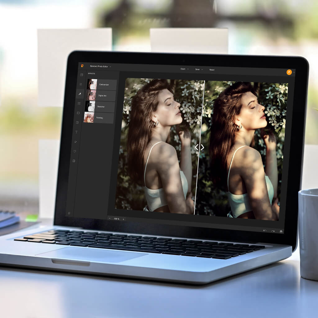 Next Steps: Developing Your Visual Stories