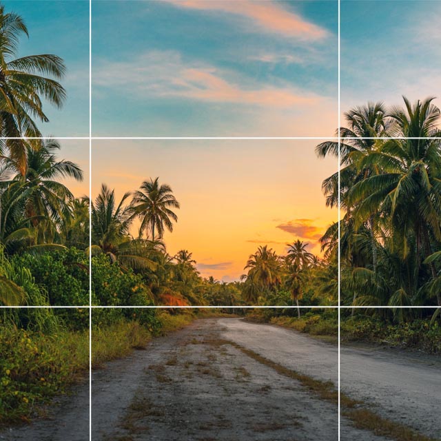 Rule Of Thirds In Photography Malayalam