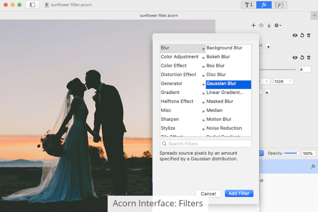 Acorn vs Photoshop: Which Software Is Better?