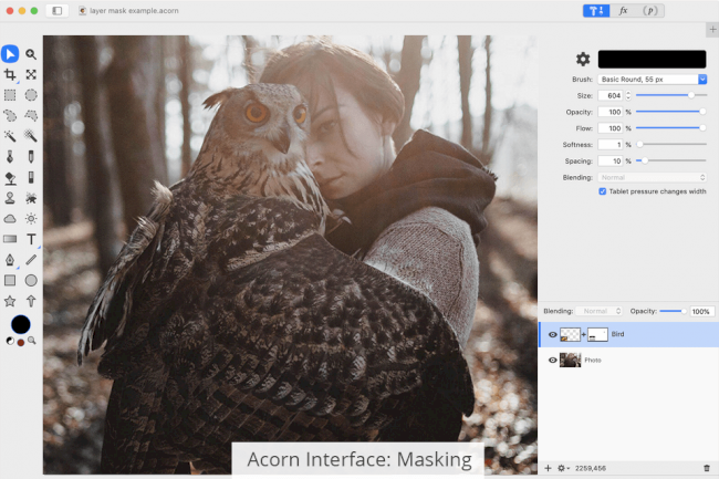 Acorn vs Pixelmator Pro: Which Software Is Better?