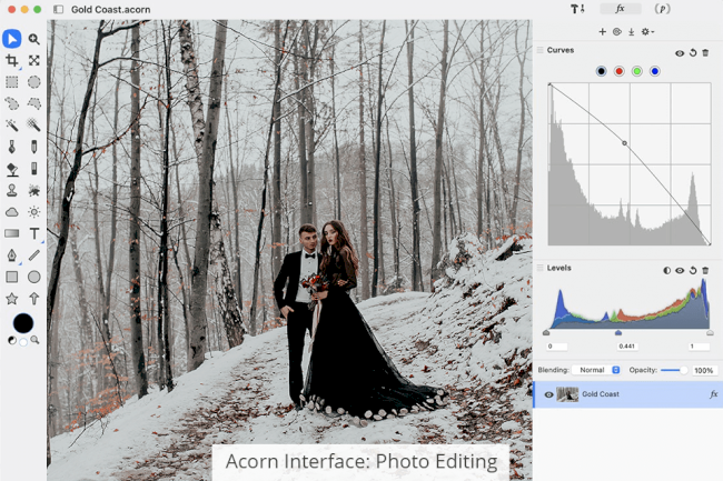 Acorn vs GIMP: Which Software Is Better?