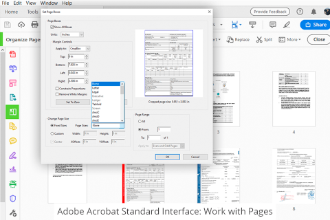 Adobe Acrobat Standard vs Pro Comparison 2024