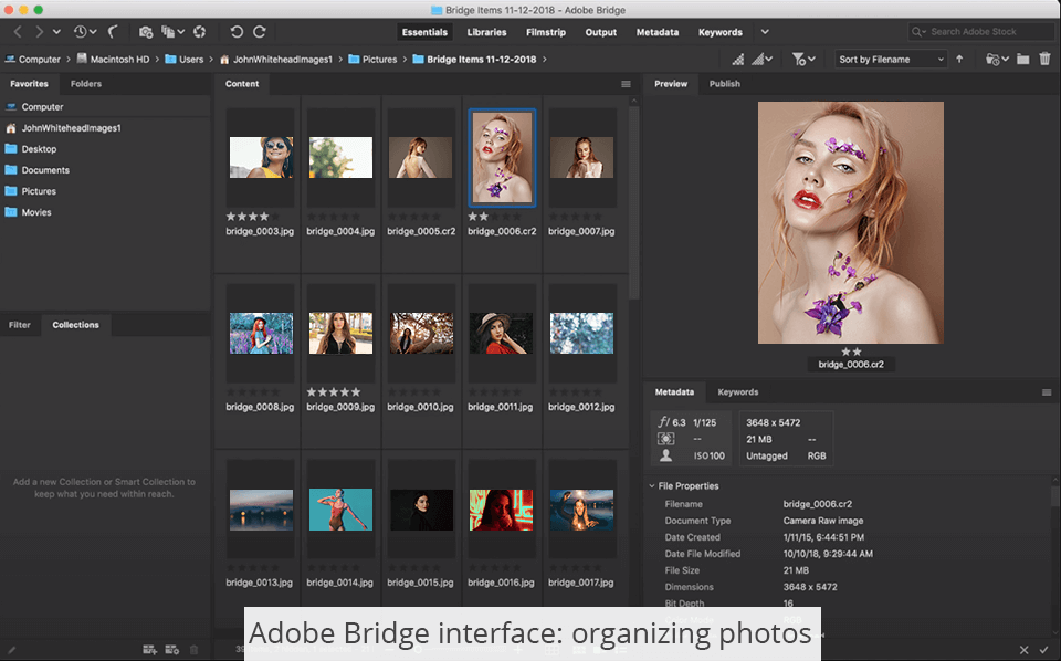 Adobe Bridge vs Lightroom 2024 Which Program to Choose?