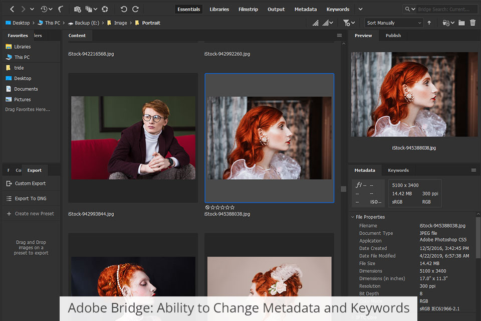 Adobe Bridge vs Adobe Experience Manager Pros & Cons