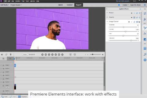 premiere elements 2019 vs pro