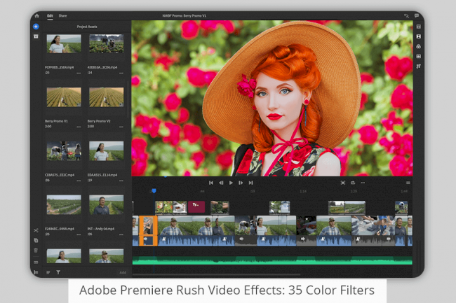 lumafusion vs premiere pro